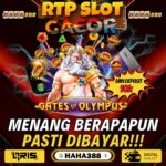 Casino Bagus: Tempat Judi Online Terbaik untuk Anda